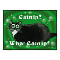 Catnip Kitty posters