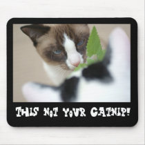 Catnip Mousepads