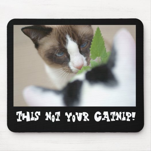 Catnip Mousepads