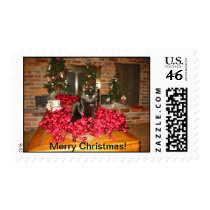 Cato Christmas stamps