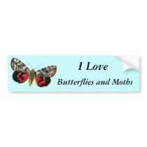 Catocala elocata bumper stickers by FlutterByButterfly Catocala elocata bumper stickers