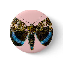 Catocala fraxini buttons