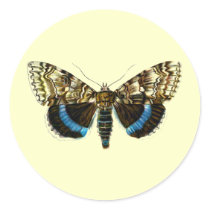 Catocala fraxini stickers