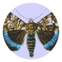 Catocala fraxini stickers