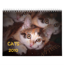 CATS 2010 Calander calendars