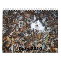Cats 2010 calendars by MeMeBev Cats 2010 calendars