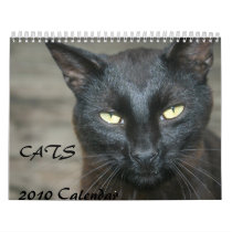Cats 2010 Calendar by wilson2460 Cats 2010 Calendar