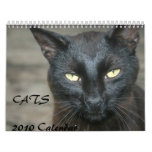 Cats 2010 Calendar