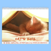 Cats 2012 calendars