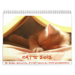 Cats 2012 calendar