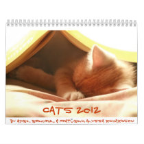 Cats 2012 calendar
