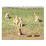 Cats  2012 calendars