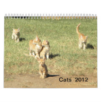Cats  2012 calendars