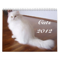 Cats 2012 Calendar
