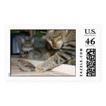 Cats and a Bird Stamp