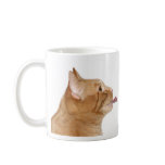 Cats and coffee coffee mug