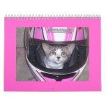 cats and dogs wall calendars
