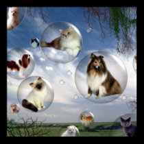 Cats and Dogs Poster posters