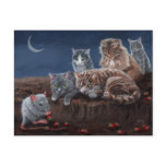 Cats and Rat with strawberries postcard