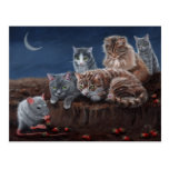 Cats and Rat with strawberries postcard