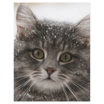 cats_and_snow15 snowfall pets animals furry cat full color flyer