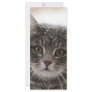 cats_and_snow15 snowfall pets animals furry cat rack cards