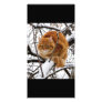 cats_and_snow_ (14) custom photo card