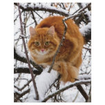 cats_and_snow_ (14) custom flyer