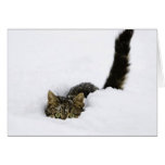 cats_and_snow_ (4) greeting card
