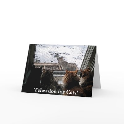 Cats and Squirrel greeting cards