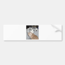 CATS AND TIGERS BUMPER STICKER