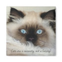 "CATS ARE A NECESSITY..." Magnets by RavenSpiritPrints "CATS ARE A NECESSITY..." Magnets