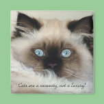 "CATS ARE A NECESSITY..." Magnets