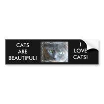 CATS ARE BEAUTIFUL!,  I LOVE CATS! bumper stickers
