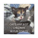 CATS ARE JUST CHILDREN IN FUR COATS magnets by HappyCatDesign CATS ARE JUST CHILDREN IN FUR COATS magnets