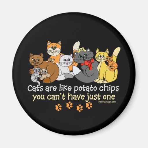 Cats are like potato chips fridge magnet