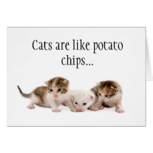Cats Are Like Potato Chips Funny Birthday Card