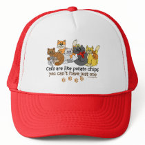 Cats are like potato chips hats