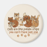 Cats are like potato chips magnets