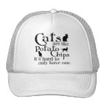 Cats are like potato chips... mesh hats