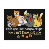 Cats are like potato chips postcard