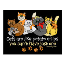 Cats are like potato chips postcard