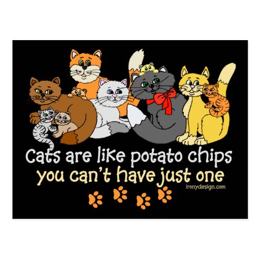 Cats are like potato chips postcard Zazzle