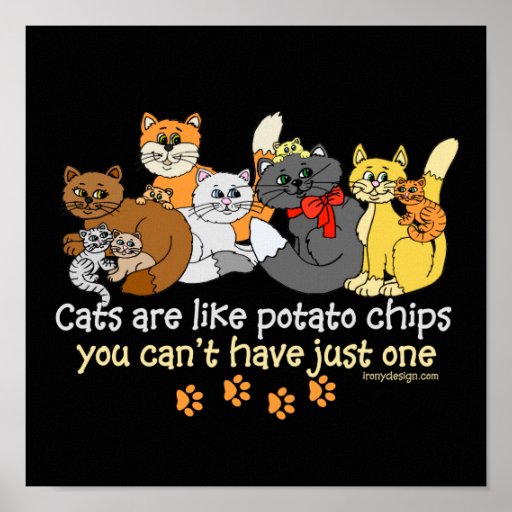 Cats are like potato chips posters