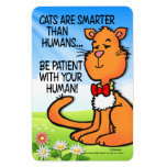 Cats Are Smarter