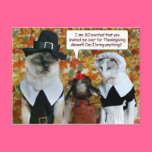 Cats as Pilgrims with Turkey Thanksgiving Card Postcards