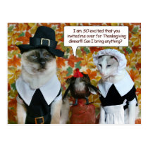 Cats as Pilgrims with Turkey Thanksgiving Card postcards