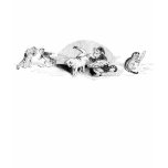 Cats at Play T-Shirt