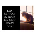 Cats believe they are God posters