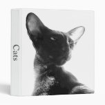 cats binders